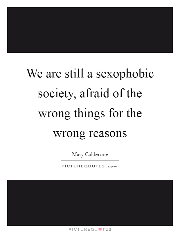 We are still a sexophobic society, afraid of the wrong things for the wrong reasons Picture Quote #1