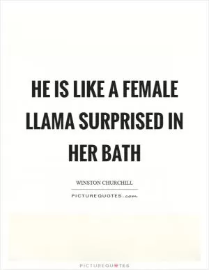 He is like a female llama surprised in her bath Picture Quote #1