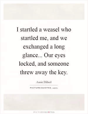 I startled a weasel who startled me, and we exchanged a long glance... Our eyes locked, and someone threw away the key Picture Quote #1