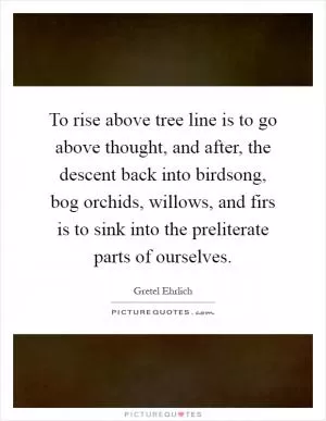 To rise above tree line is to go above thought, and after, the descent back into birdsong, bog orchids, willows, and firs is to sink into the preliterate parts of ourselves Picture Quote #1