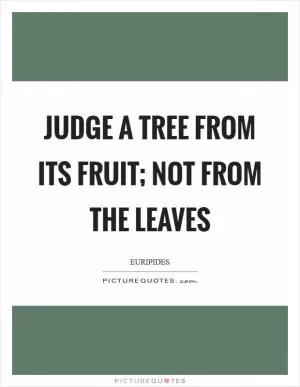 Judge a tree from its fruit; not from the leaves Picture Quote #1