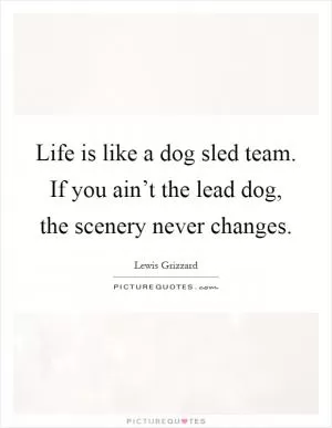 Life is like a dog sled team. If you ain’t the lead dog, the scenery never changes Picture Quote #1