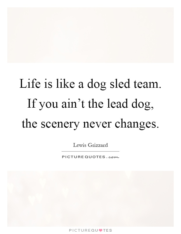 Life is like a dog sled team. If you ain't the lead dog, the scenery never changes Picture Quote #1