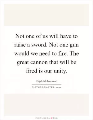 Not one of us will have to raise a sword. Not one gun would we need to fire. The great cannon that will be fired is our unity Picture Quote #1