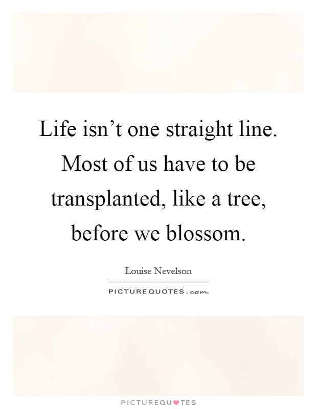Life isn't one straight line. Most of us have to be transplanted, like a tree, before we blossom Picture Quote #1