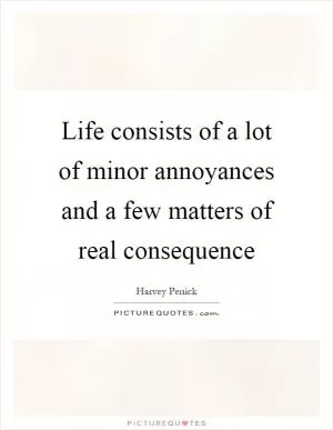 Life consists of a lot of minor annoyances and a few matters of real consequence Picture Quote #1