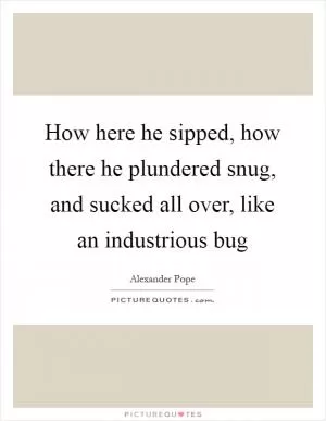 How here he sipped, how there he plundered snug, and sucked all over, like an industrious bug Picture Quote #1