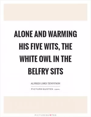 Alone and warming his five wits, the white owl in the belfry sits Picture Quote #1