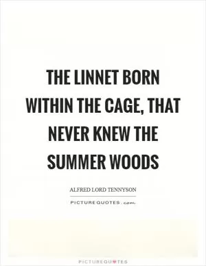 The linnet born within the cage, that never knew the summer woods Picture Quote #1