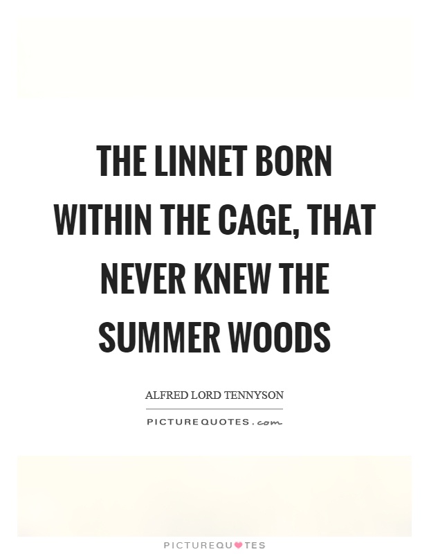 The linnet born within the cage, that never knew the summer woods Picture Quote #1