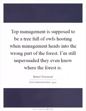 Top management is supposed to be a tree full of owls hooting when management heads into the wrong part of the forest. I’m still unpersuaded they even know where the forest is Picture Quote #1