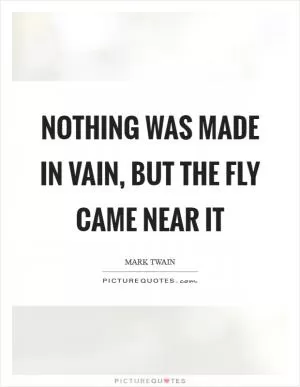 Nothing was made in vain, but the fly came near it Picture Quote #1