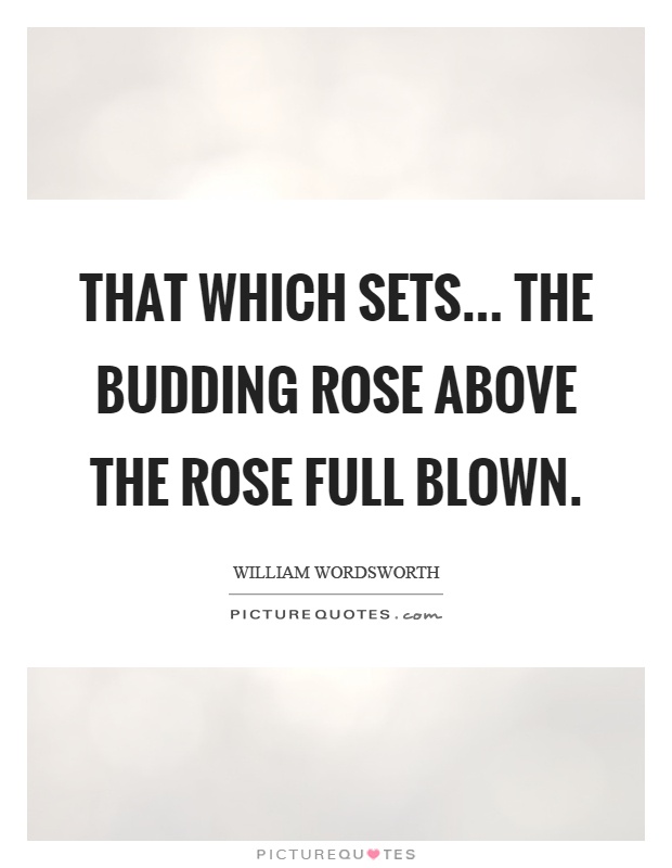 That which sets... The budding rose above the rose full blown Picture Quote #1