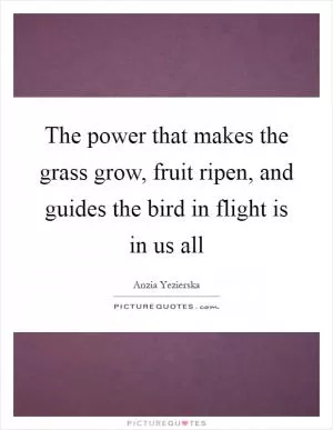 The power that makes the grass grow, fruit ripen, and guides the bird in flight is in us all Picture Quote #1