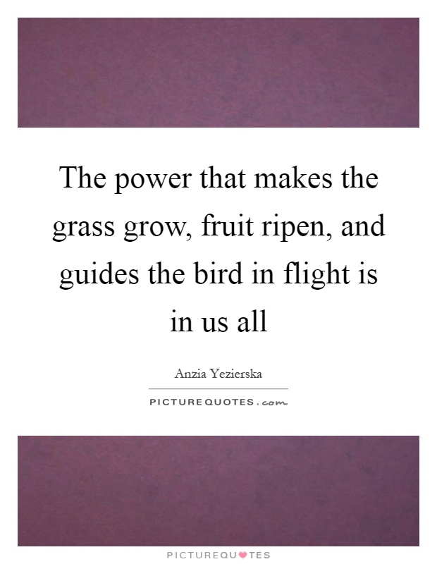 The power that makes the grass grow, fruit ripen, and guides the bird in flight is in us all Picture Quote #1