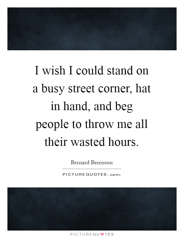 I wish I could stand on a busy street corner, hat in hand, and beg people to throw me all their wasted hours Picture Quote #1