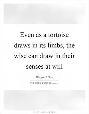 Even as a tortoise draws in its limbs, the wise can draw in their senses at will Picture Quote #1