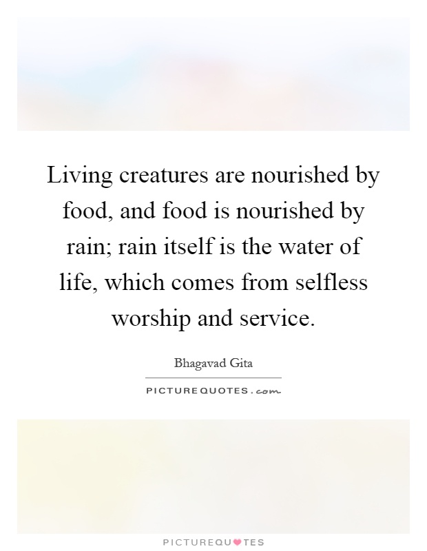 Living creatures are nourished by food, and food is nourished by rain; rain itself is the water of life, which comes from selfless worship and service Picture Quote #1