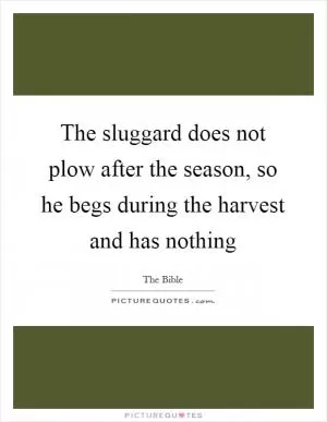 The sluggard does not plow after the season, so he begs during the harvest and has nothing Picture Quote #1