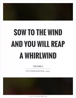 Sow to the wind and you will reap a whirlwind Picture Quote #1