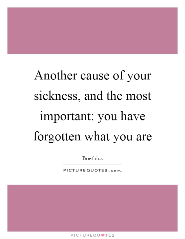 Another cause of your sickness, and the most important: you have forgotten what you are Picture Quote #1