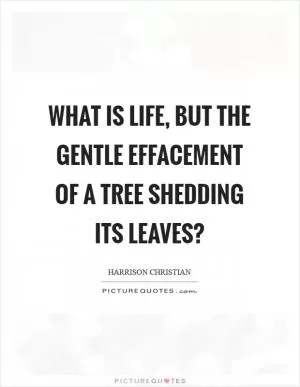 What is life, but the gentle effacement of a tree shedding its leaves? Picture Quote #1