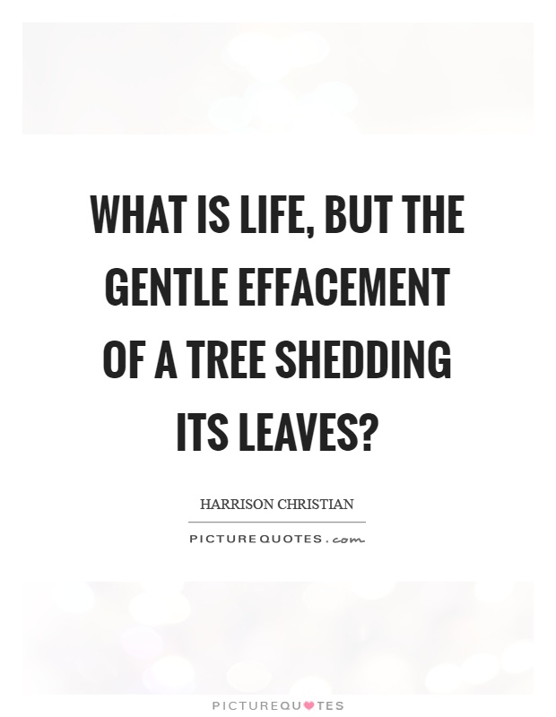 What is life, but the gentle effacement of a tree shedding its leaves? Picture Quote #1