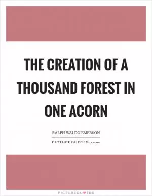 The creation of a thousand forest in one acorn Picture Quote #1