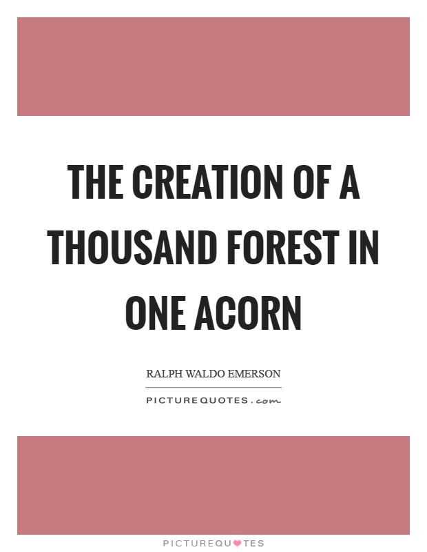 The creation of a thousand forest in one acorn Picture Quote #1