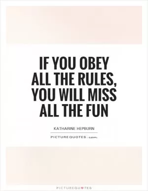 If you obey all the rules, you will miss all the fun Picture Quote #1