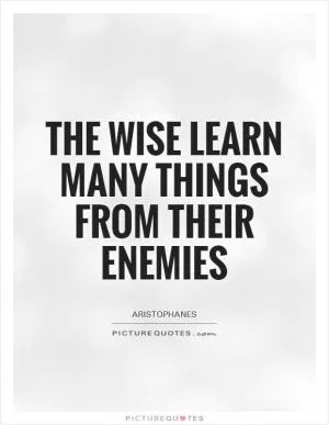 The wise learn many things from their enemies Picture Quote #1