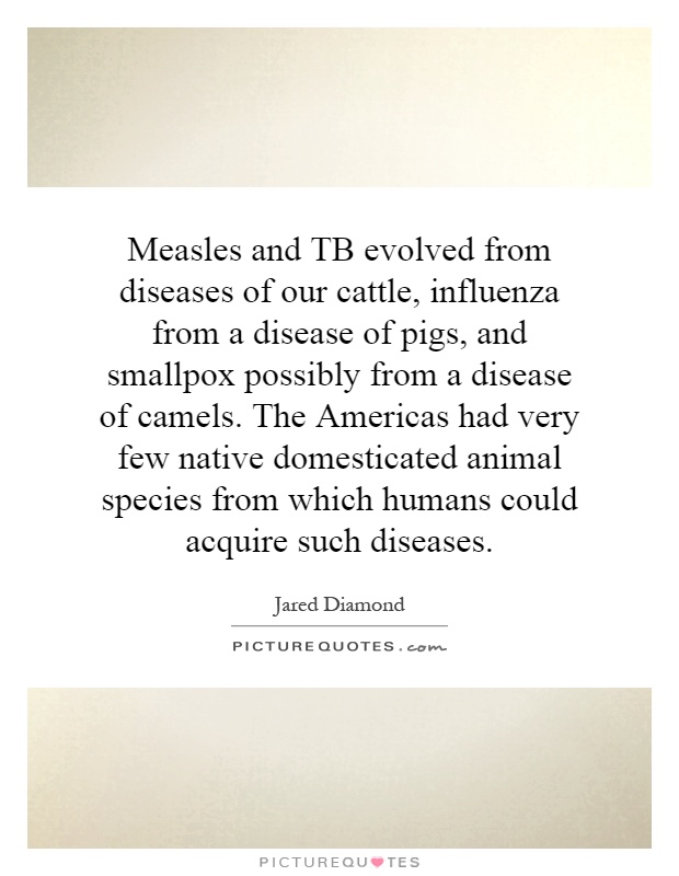 Measles and TB evolved from diseases of our cattle, influenza from a disease of pigs, and smallpox possibly from a disease of camels. The Americas had very few native domesticated animal species from which humans could acquire such diseases Picture Quote #1