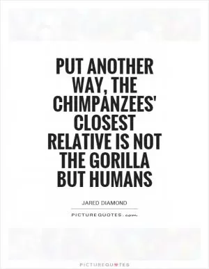 Put another way, the chimpanzees' closest relative is not the gorilla but humans Picture Quote #1