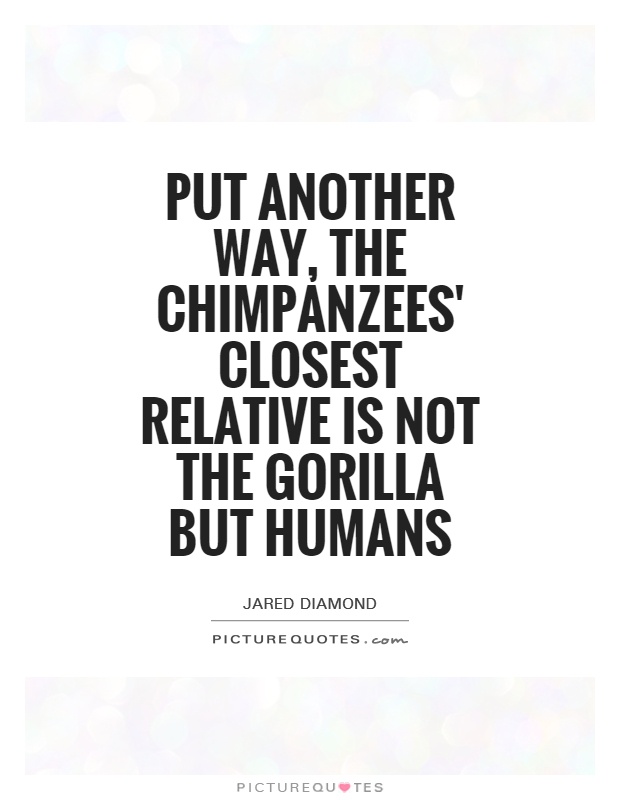 Put another way, the chimpanzees' closest relative is not the gorilla but humans Picture Quote #1