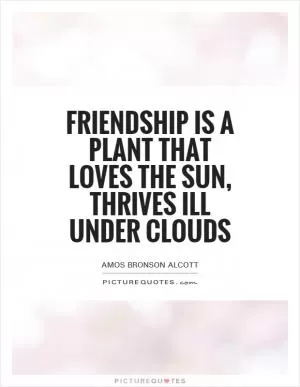 Friendship is a plant that loves the sun, thrives ill under clouds Picture Quote #1