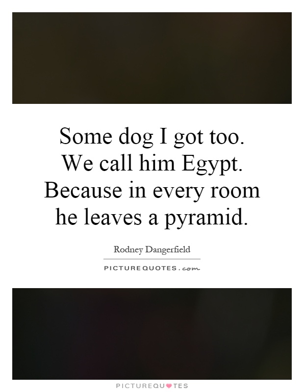 Some dog I got too. We call him Egypt. Because in every room he leaves a pyramid Picture Quote #1