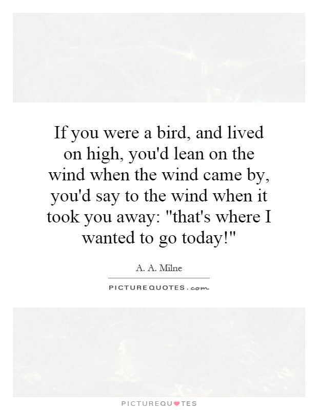 If you were a bird, and lived on high, you'd lean on the wind when the wind came by, you'd say to the wind when it took you away: 