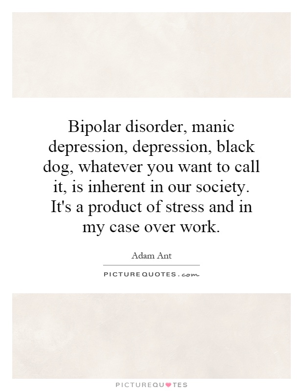 Bipolar disorder, manic depression, depression, black dog, whatever you want to call it, is inherent in our society. It's a product of stress and in my case over work Picture Quote #1