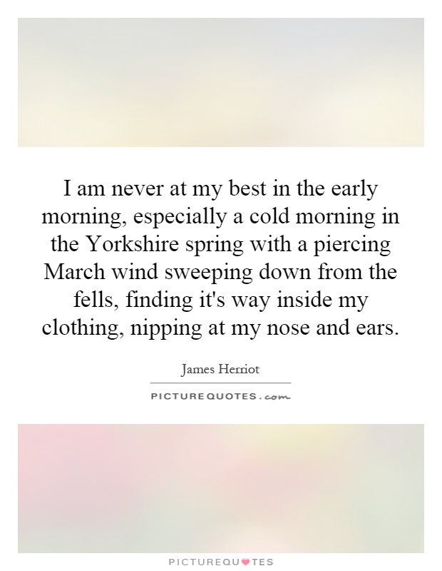 I am never at my best in the early morning, especially a cold morning in the Yorkshire spring with a piercing March wind sweeping down from the fells, finding it's way inside my clothing, nipping at my nose and ears Picture Quote #1