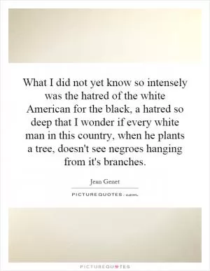 What I did not yet know so intensely was the hatred of the white American for the black, a hatred so deep that I wonder if every white man in this country, when he plants a tree, doesn't see negroes hanging from it's branches Picture Quote #1