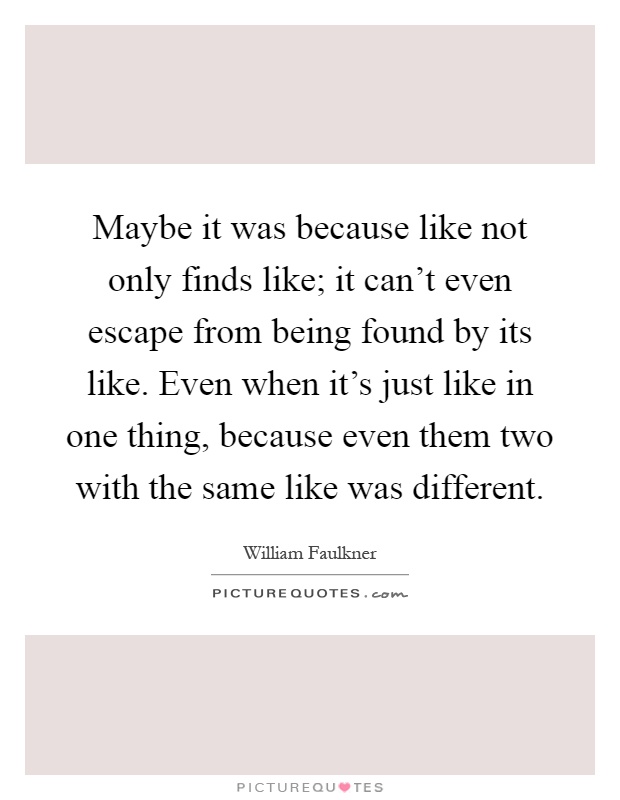 Maybe it was because like not only finds like; it can't even escape from being found by its like. Even when it's just like in one thing, because even them two with the same like was different Picture Quote #1