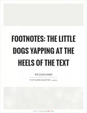 Footnotes: The little dogs yapping at the heels of the text Picture Quote #1