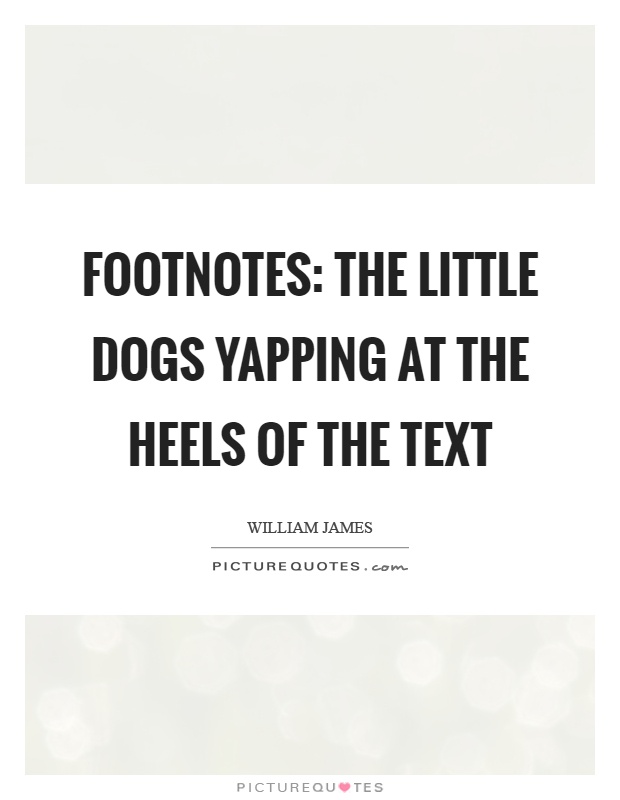 Footnotes: The little dogs yapping at the heels of the text Picture Quote #1