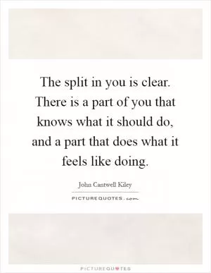 The split in you is clear. There is a part of you that knows what it should do, and a part that does what it feels like doing Picture Quote #1