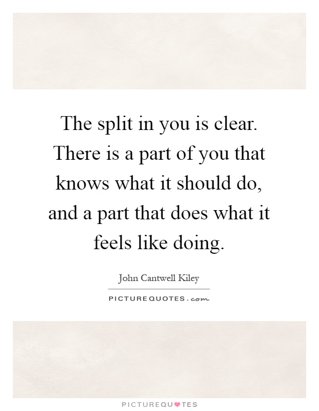 The split in you is clear. There is a part of you that knows what it should do, and a part that does what it feels like doing Picture Quote #1