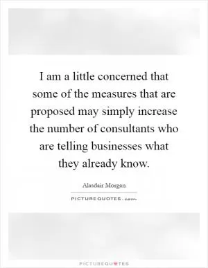 I am a little concerned that some of the measures that are proposed may simply increase the number of consultants who are telling businesses what they already know Picture Quote #1