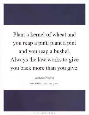 Plant a kernel of wheat and you reap a pint; plant a pint and you reap a bushel. Always the law works to give you back more than you give Picture Quote #1