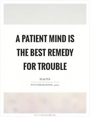 A patient mind is the best remedy for trouble Picture Quote #1