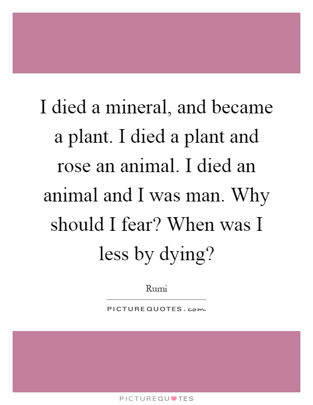 I died a mineral, and became a plant. I died a plant and rose an animal. I died an animal and I was man. Why should I fear? When was I less by dying? Picture Quote #1