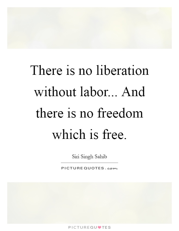 There is no liberation without labor... And there is no freedom which is free Picture Quote #1